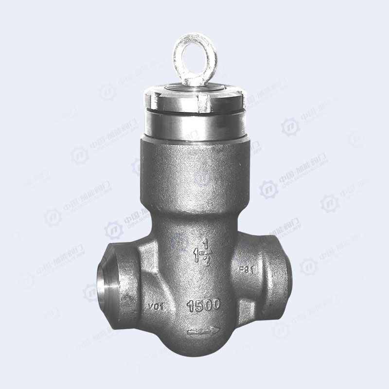 Forged steel butt welding check valve