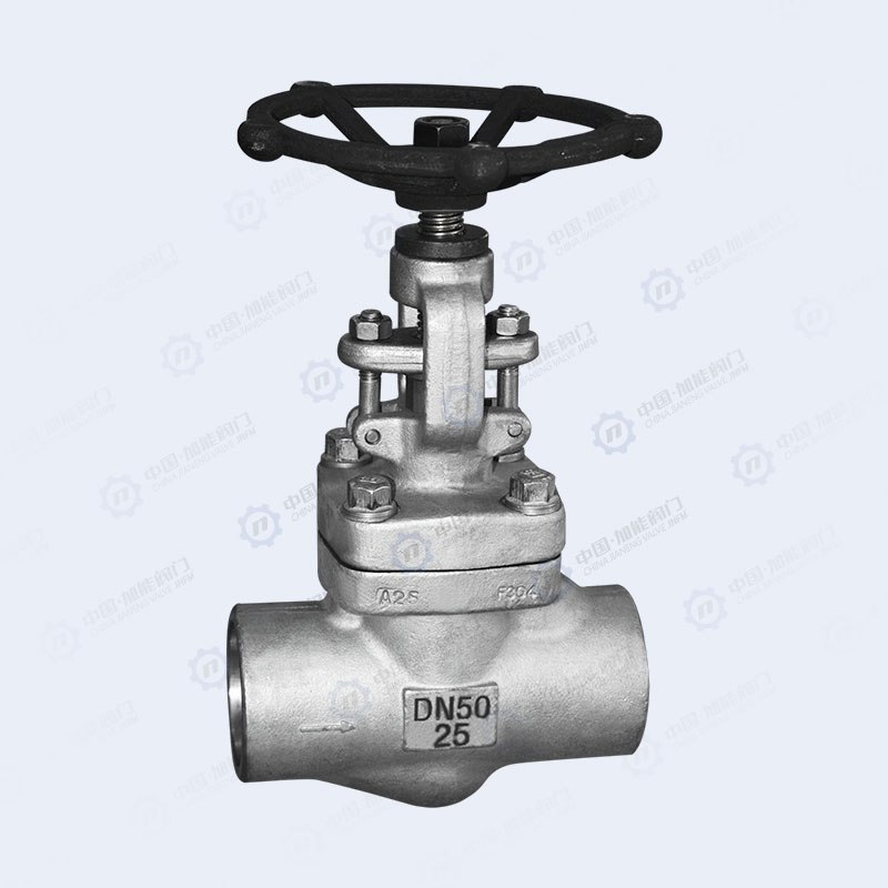 Forged steel socket welding globe valve