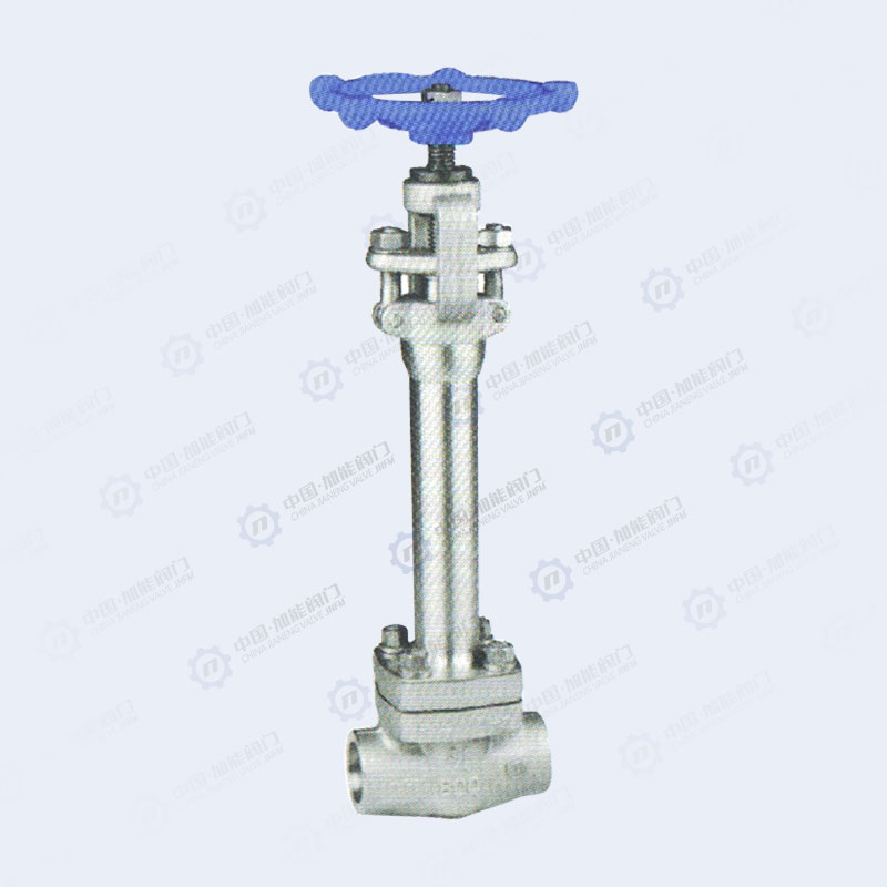 Low temperature socket welding globe valve