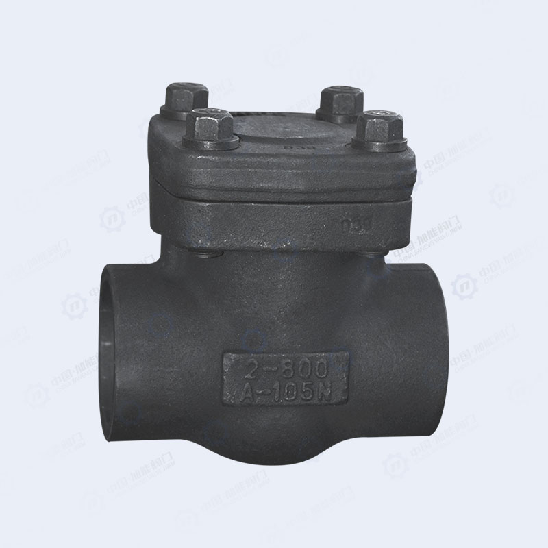 Forged steel flange check valve