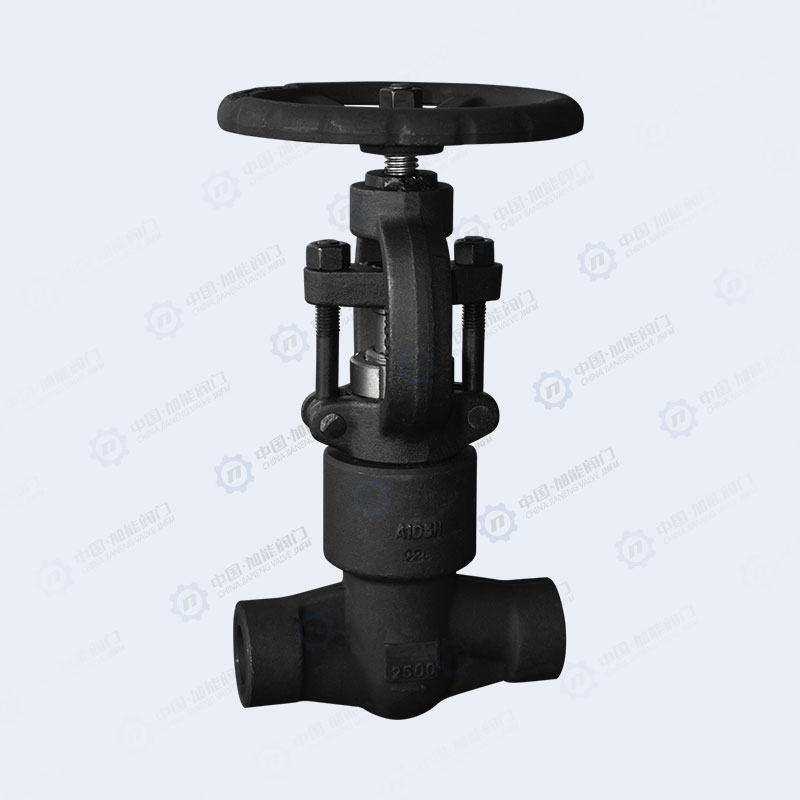 Forged steel socket welding globe valve