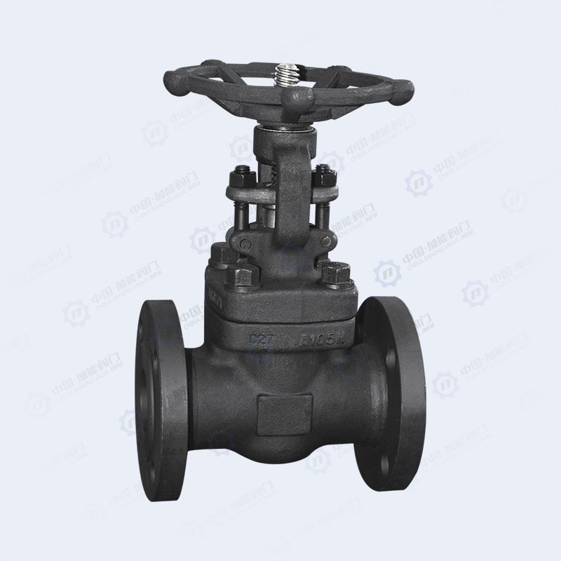 Forged steel flange gate valve