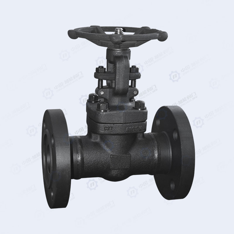 Forged steel flange gate valve