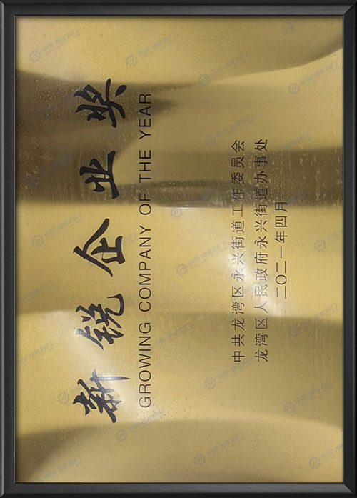 新锐企业奖